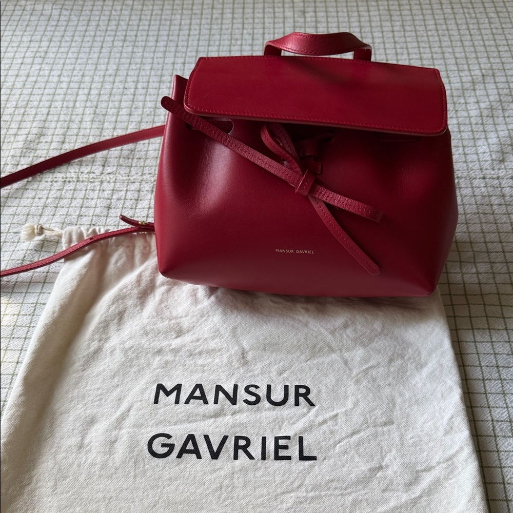 Mansur Gavriel 🍒 lady bag